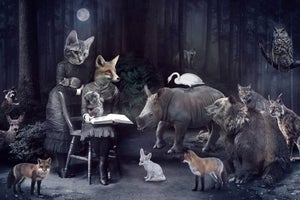 Tell Me More About the Forest by Marcin and Kate Owczarek | Digital Art featuring animals in a forest setting