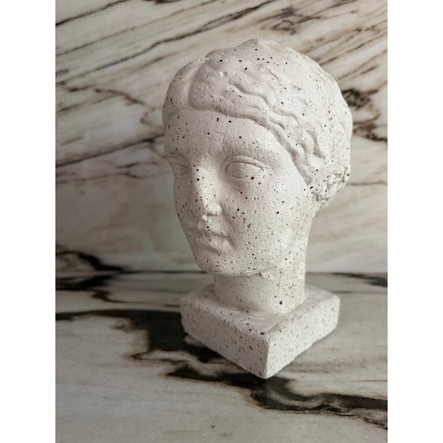 Neoclassical Plaster Lady Bust For Sale - Image 3 of 7