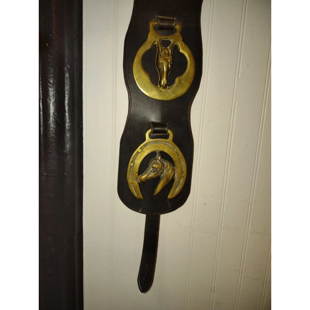 English English Leather and Horse Brasses Martingale 1950s For Sale - Image 3 of 5
