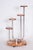 Bauhaus Bauhaus Chrome and Zebrano Wood Flower Stand attributed to Mücke-Melder, Czechoslovakia, 1930s For Sale - Image 3 of 8