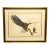 Late 20th Century Framed & Matted Bald Eagle Print by Ray Harm For Sale
