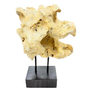 Indonesian Coral Stone On Teak Stand For Sale