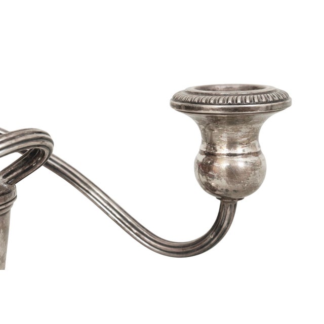 Fisher Sterling Silver Empire Style Candelabras - a Pair For Sale In Tampa - Image 6 of 8