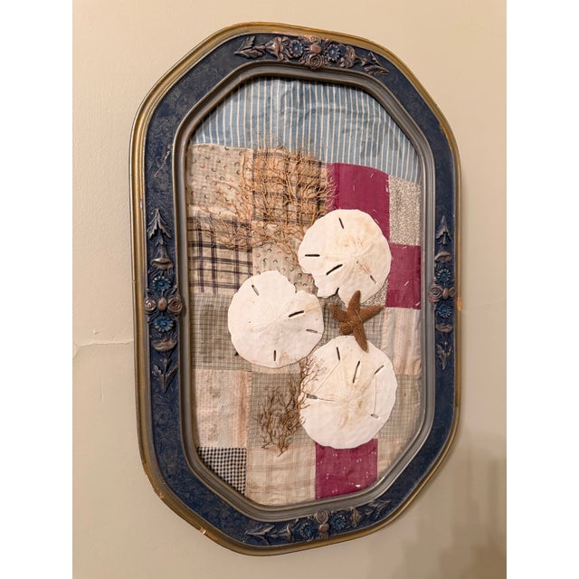 This is a charming vintage coastal shadow box or folk art assemblage featuring natural sea elements displayed beneath...