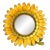 1970s Sunflower Framed Wall Mirror For Sale