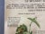 Vintage Disease of the Vines Poster on Toile For Sale - Image 4 of 10