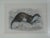 Illustration Otter Illustration, 19th Century Chromolithograph For Sale - Image 3 of 4