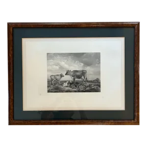 Vintage Intaglio Lithograph of T S Cooper “The Victorian Cow” in Burlwood Frame