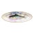 Antique Continental Hand-Painted Porcelain Fish Platter With Wisteria and Gilt Details – Aesthetic Movement For Sale