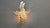 Vintage Floral Wall Lamp from Hans Kögl, 1970s For Sale - Image 10 of 18