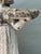 Stone Gray Vintage Stone Garden Figure With Bowls For Sale - Image 8 of 12