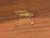Brown Antique Needlepoint Footstool For Sale - Image 8 of 16