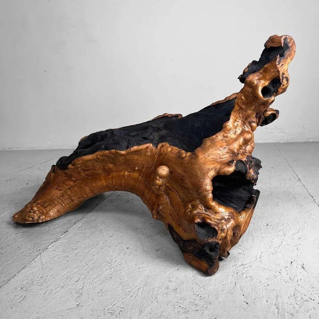 Wood Burl Wood, Japan, 1950s For Sale - Image 6 of 12