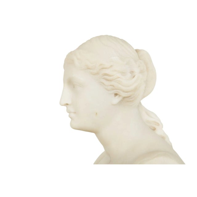 Italian Grand Tour Carved Alabaster Bust of Venus of Milo, 20th Century For Sale - Image 11 of 18