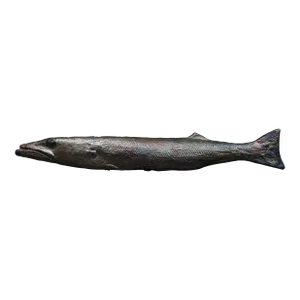 Mid 20th Century Charles Pearson Whitehead Street Studio Key West Fish Raku Art Pottery Sculpture