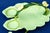 Art Nouveau Strawberry Service in Vitrified Majolica by George Jones, England, 1882, Set of 5 For Sale - Image 16 of 18
