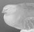 Lalique Crystal "Perdix" Sculptures, 4 For Sale - Image 10 of 15