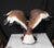 Coloured Bronze American Golden Eagle Statue For Sale - Image 6 of 10