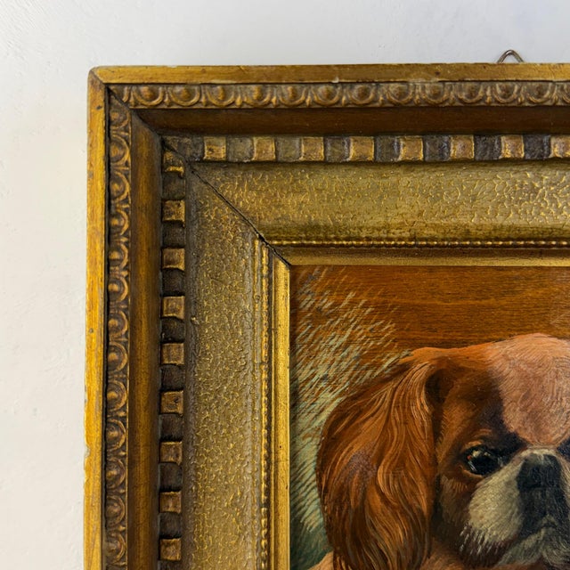 Pekingese Dog Portrait, Oil on Panel, 20th Century, Framed For Sale - Image 9 of 12