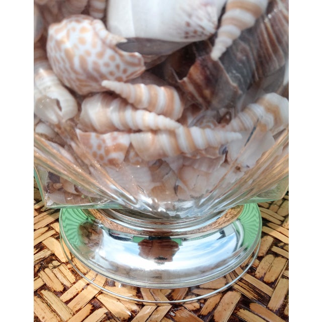 Glass Vintage Glass Clam Shell Shape Filled With Seashells Coastal Table Lamps- A Pair For Sale - Image 7 of 8