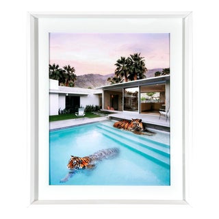 Vintage Mid-Century Style "Palm Springs Tigers" Framed Photograph For Sale