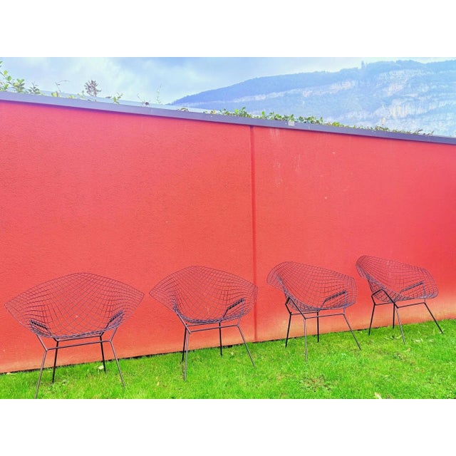 1980s Bertoia Armchairs by Harry Bertoia, 1980s, Set of 4 For Sale - Image 5 of 8