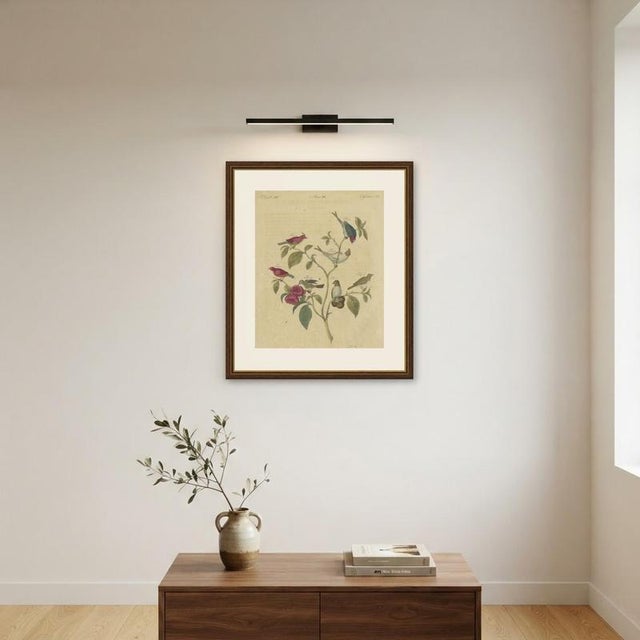 Bertuch, Exotic Finches and Hummingbird, 1805, Print For Sale - Image 10 of 12