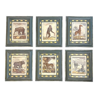 18th Century Reproduction Framed Zoological Prints - Set of 6 For Sale