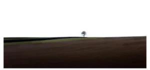 Laurent Campus, Loneliness, 2011, Archival Pigment Print
