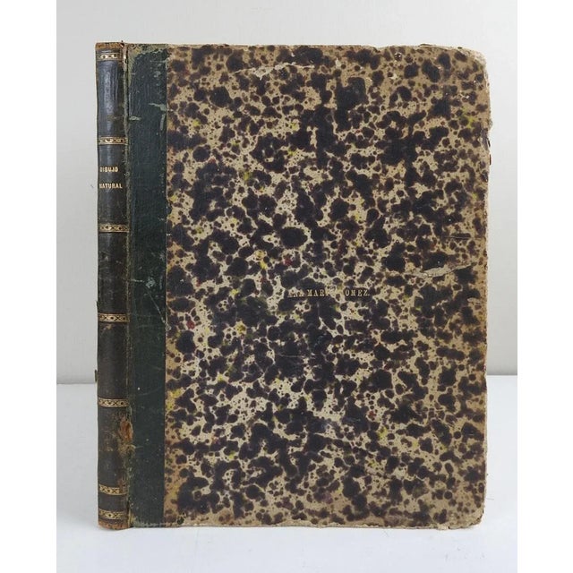 Antique 1876 Art Instruction Book in Spanish For Sale - Image 9 of 9