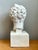 Vintage Plaster Classical Bust of Roman Warrior For Sale - Image 12 of 18