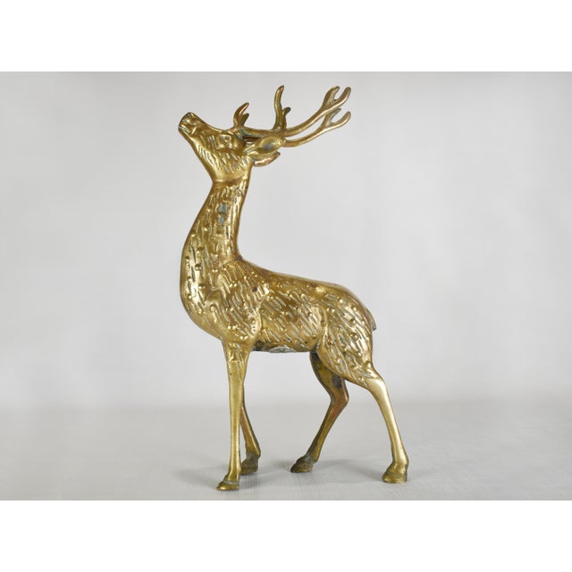 Solid Brass Buck & Doe Deer Animal Figurines a Pair Chairish