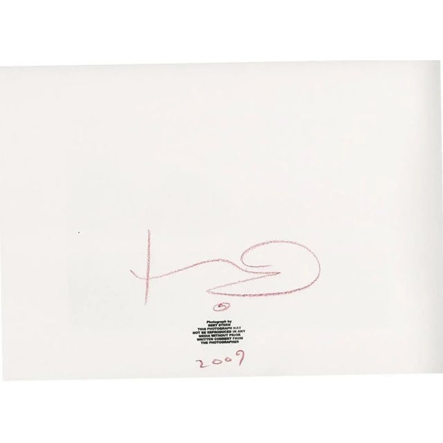 Marilyn Monroe . Wine on the bed . The last sitting (1964) 2009 For Sale - Image 4 of 5