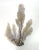 Chinoiserie Natural Ivory Sea Fan For Sale - Image 3 of 4