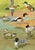 William Neave Parker, Ducks Bird, Mid-20th Century, Gouache Painting For Sale - Image 9 of 9