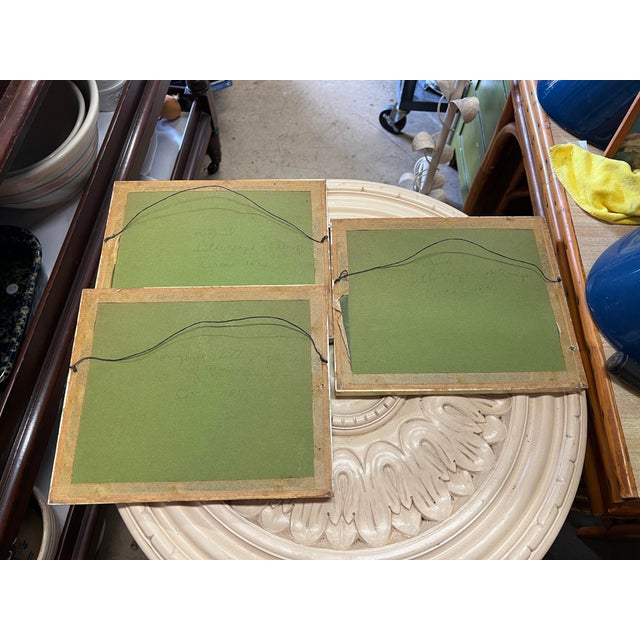 Original Lithograph Framed Pictures of Pompeii 1830 - Set of 3 For Sale - Image 12 of 12