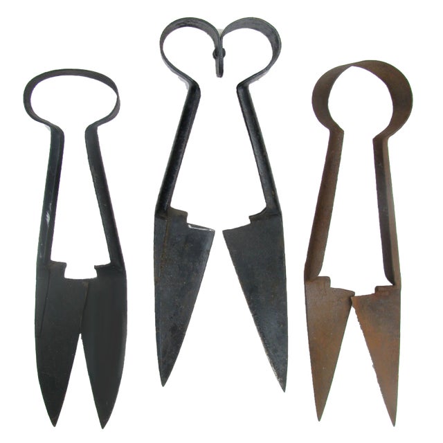 Early 20th Century Early 20thC English Sheep Shears, Set of 3 For Sale - Image 5 of 5
