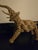 Kay Bojesen Mid-Century Jute Rope Art For Sale - Image 4 of 12