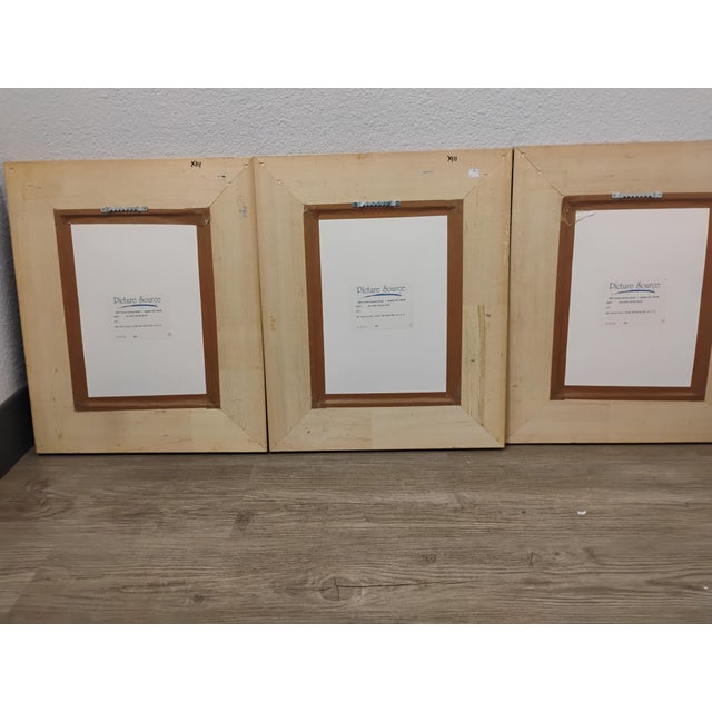 Description: Up for sale is a stunning set of three hand-colored prints from the "Fluted Urn Collection," inspired by the...