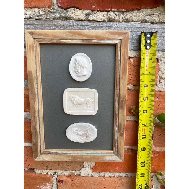 English Italian Plaster Intaglios in 1880s Pine Frame For Sale - Image 3 of 8