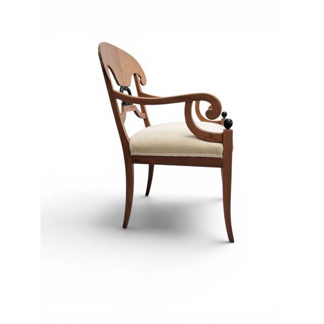 Wood Early 20th Century Pair of Biedermeier Style Satinwood and Ebonized Armchairs For Sale - Image 7 of 12