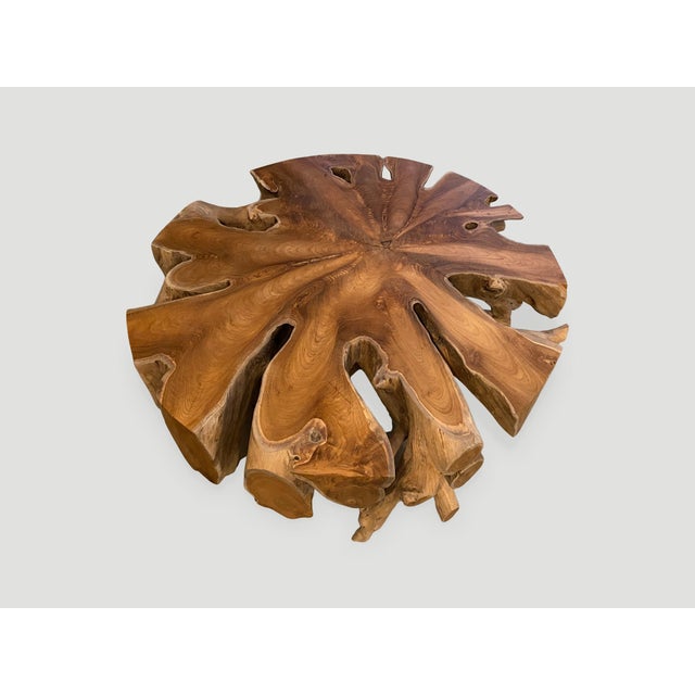 Andrianna Shamaris Organic Teak Wood Round Coffee Table For Sale - Image 11 of 18