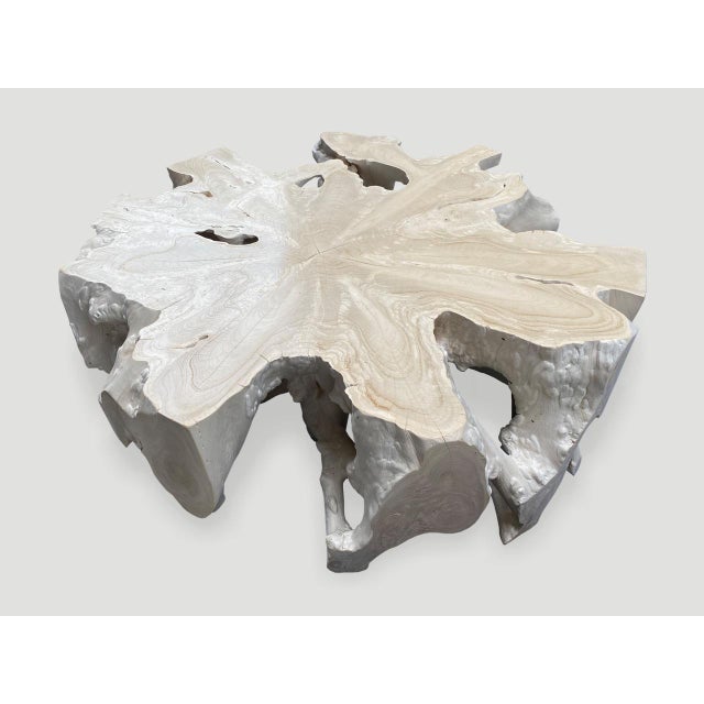 Ivory Andrianna Shamaris Bleached Teak Wood Round Organic Coffee Table For Sale - Image 8 of 18
