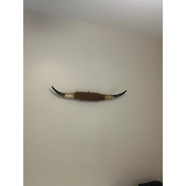 Rustic vintage mounted steer horns plaque featuring genuine polished horns wrapped in leather. Genuine steer horns with...