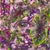 Flourish-Charles-My Front Yard, Florida by Amanda Seckington | Acrylic & Oil Painting of an eye surrounded by plants For Sale