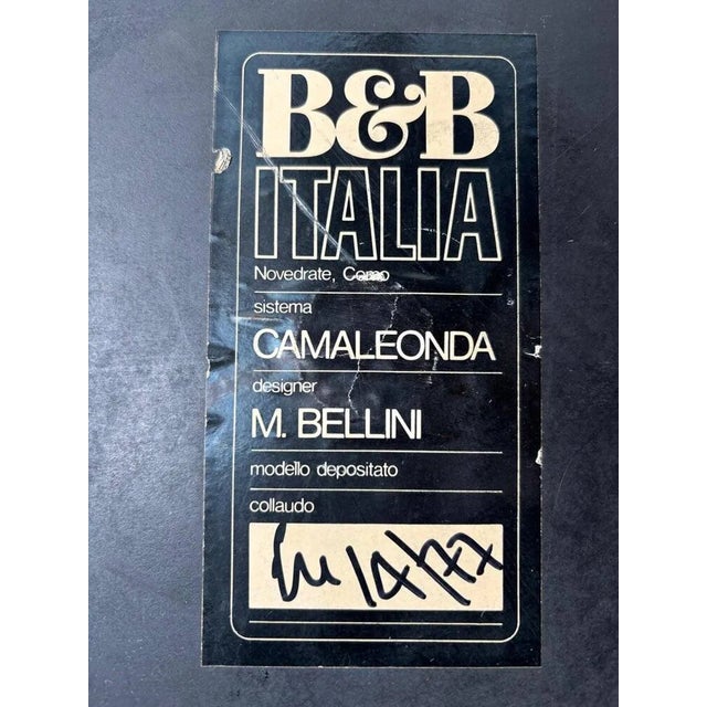 Camaleonda Lounge Chairs in Cognac Leather by Mario Bellini for B&b Italia, 1973 For Sale - Image 14 of 14