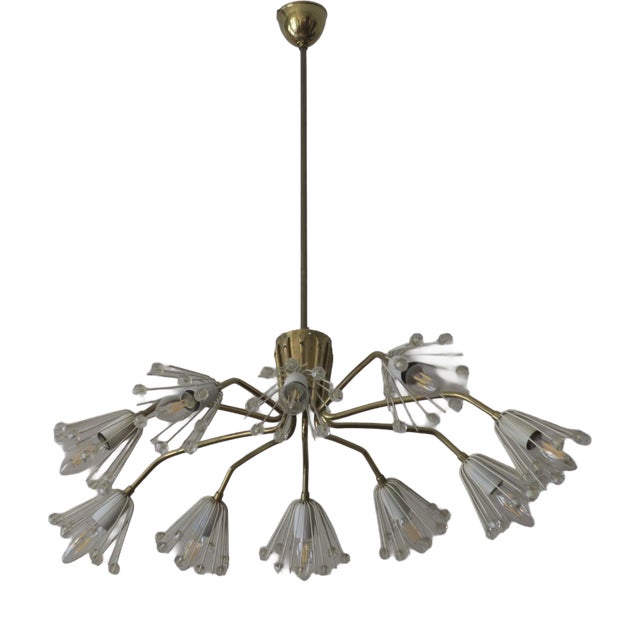 Vintage Austrian Elliptical Brass and Glass Chandelier, 1950s For Sale