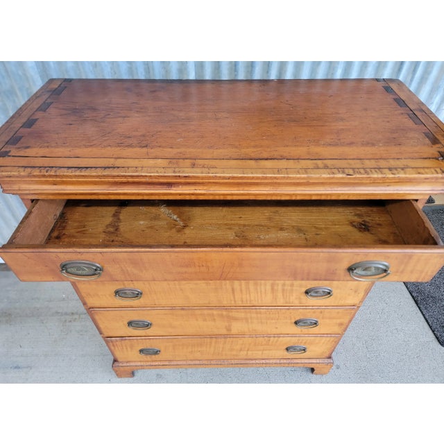 Antique American Chippendale Tiger Maple Tall Chest / Dresser For Sale - Image 11 of 12