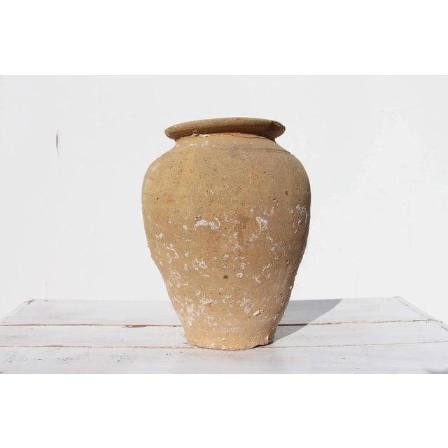 Rustic European 19th Century Antique Terracotta Octopus Trap Undersea Pot For Sale - Image 3 of 13