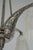 Degue & Vandamme French Art Deco Nickeled Bronze & Frosted Glass Chandelier 1930s For Sale - Image 9 of 13